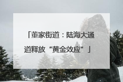 董家街道：陆海大通道释放“黄金效应”