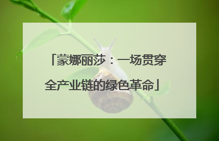蒙娜丽莎：一场贯穿全产业链的绿色革命