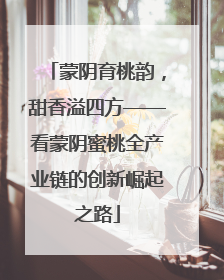 蒙阴育桃韵，甜香溢四方——看蒙阴蜜桃全产业链的创新崛起之路