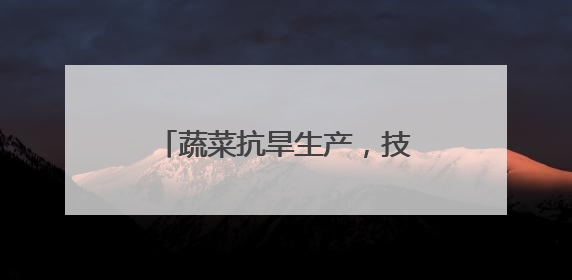 蔬菜抗旱生产，技术指导意见来了！