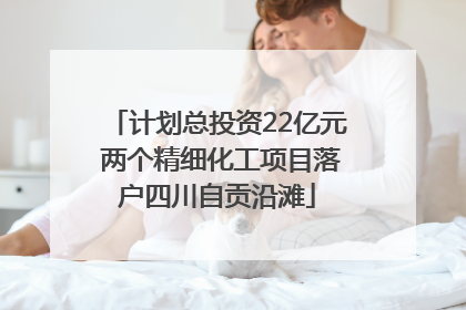 计划总投资22亿元 两个精细化工项目落户四川自贡沿滩