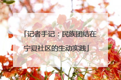 记者手记：民族团结在宁夏社区的生动实践