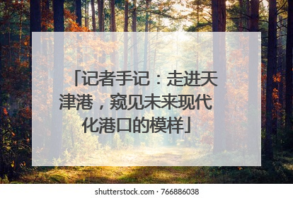 记者手记：走进天津港，窥见未来现代化港口的模样