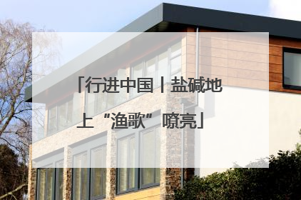 行进中国丨盐碱地上“渔歌”嘹亮