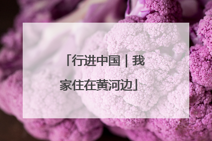 行进中国｜我家住在黄河边
