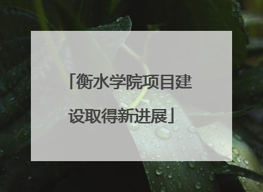 衡水学院项目建设取得新进展