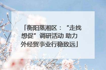 衡阳蒸湘区：“走找想促”调研活动 助力外经贸事业行稳致远
