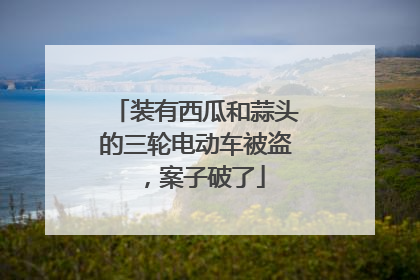 装有西瓜和蒜头的三轮电动车被盗，案子破了