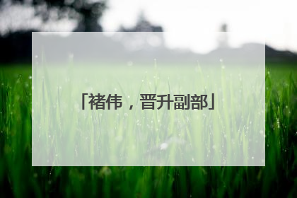 褚伟，晋升副部