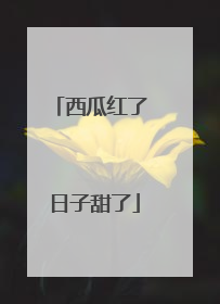 西瓜红了 日子甜了