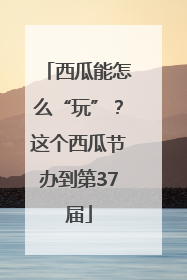 西瓜能怎么“玩”？这个西瓜节办到第37届