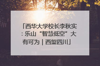 西华大学校长李秋实：乐山“智慧低空”大有可为｜西望四川