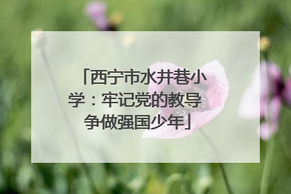 西宁市水井巷小学：牢记党的教导 争做强国少年
