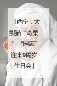 西宁：大熊猫“奇果”“园满”迎来9周岁生日会