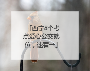 西宁8个考点爱心公交就位,速看→