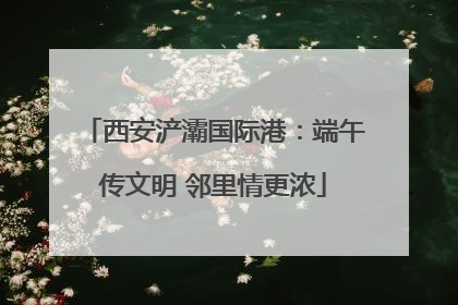 西安浐灞国际港：端午传文明 邻里情更浓