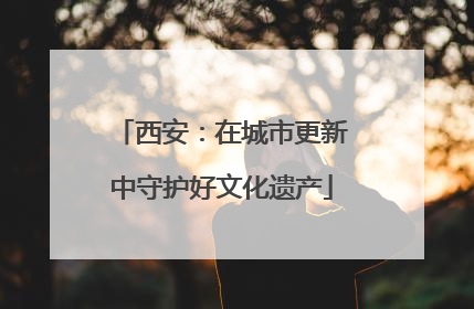 西安：在城市更新中守护好文化遗产