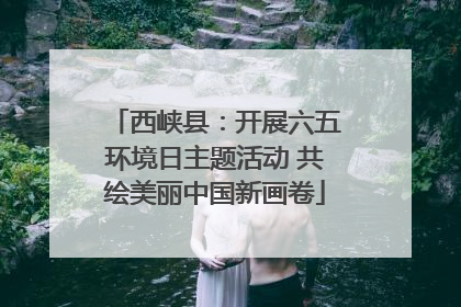 西峡县：开展六五环境日主题活动 共绘美丽中国新画卷
