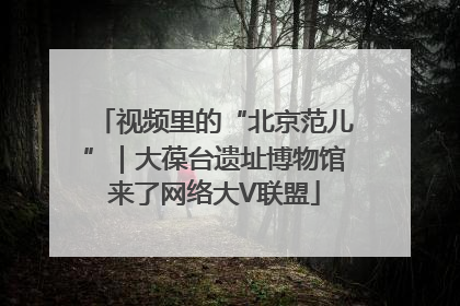 视频里的“北京范儿”｜大葆台遗址博物馆来了网络大V联盟
