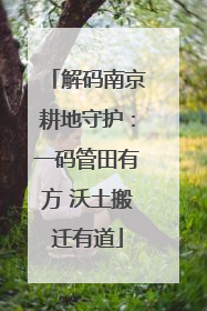 解码南京耕地守护：一码管田有方 沃土搬迁有道