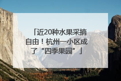 近20种水果采摘自由！杭州一小区成了“四季果园”