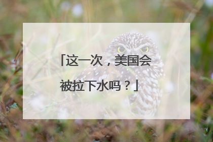 这一次，美国会被拉下水吗？