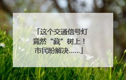 这个交通信号灯竟然“藏”树上！市民盼解决……