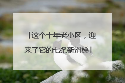 这个十年老小区，迎来了它的七条新滑梯