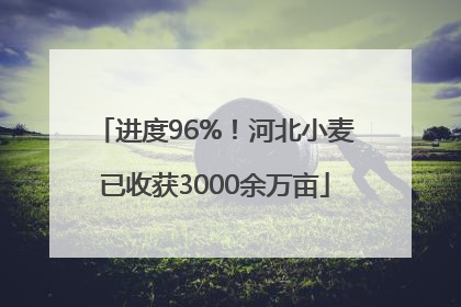 进度96%！河北小麦已收获3000余万亩