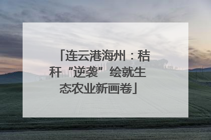 连云港海州：秸秆“逆袭”绘就生态农业新画卷