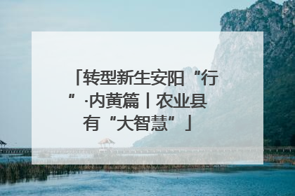 转型新生安阳“行”·内黄篇丨农业县有“大智慧”