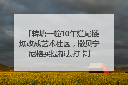 转塘一幢10年烂尾楼爆改成艺术社区，撒贝宁尼格买提都去打卡