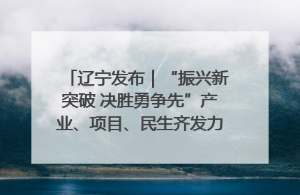 辽宁发布｜“振兴新突破 决胜勇争先”产业、项目、民生齐发力 葫芦岛按下决胜之年“加速键”