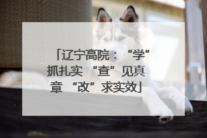 辽宁高院：“学”抓扎实 “查”见真章 “改”求实效