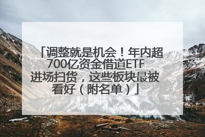 调整就是机会！年内超700亿资金借道ETF进场扫货，这些板块最被看好（附名单）