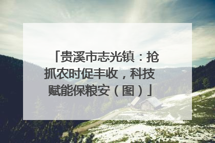 贵溪市志光镇：抢抓农时促丰收，科技赋能保粮安（图）
