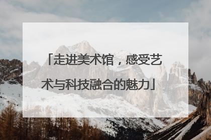 走进美术馆，感受艺术与科技融合的魅力
