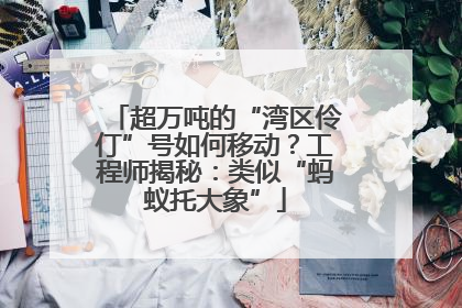 超万吨的“湾区伶仃”号如何移动？工程师揭秘：类似“蚂蚁托大象”