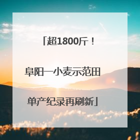 超1800斤！阜阳一小麦示范田单产纪录再刷新
