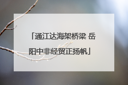 通江达海架桥梁 岳阳中非经贸正扬帆