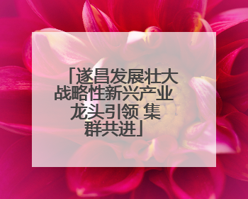 遂昌发展壮大战略性新兴产业 龙头引领 集群共进