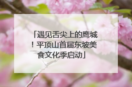 遇见舌尖上的鹰城！平顶山首届东坡美食文化季启动