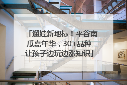 遛娃新地标！平谷南瓜嘉年华，30+品种让孩子边玩边涨知识