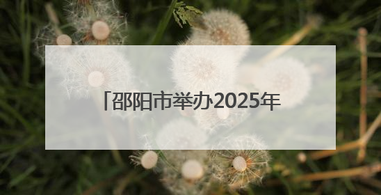 邵阳市举办2025年百日千万招聘专项行动暨促就业“金桥行动”高校毕业生专场招聘会