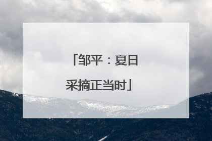邹平：夏日采摘正当时