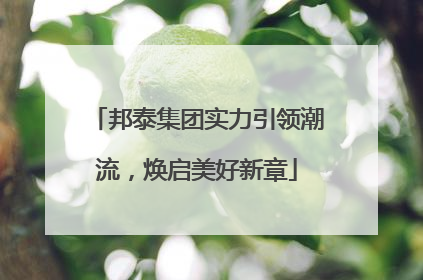 邦泰集团实力引领潮流，焕启美好新章