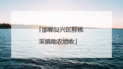 邯郸复兴区鲜桃采摘助农增收