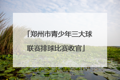 郑州市青少年三大球联赛排球比赛收官