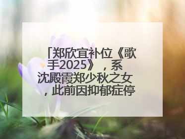 郑欣宜补位《歌手2025》，系沈殿霞郑少秋之女，此前因抑郁症停工两年