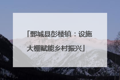 鄄城县彭楼镇：设施大棚赋能乡村振兴